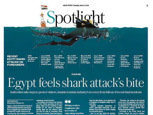 Egypt feels shark attack's bite