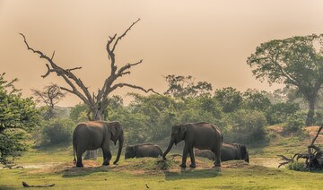 Off the beaten track in Sri Lanka 