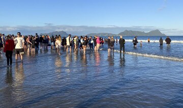 New Zealanders save more than 30 stranded whales