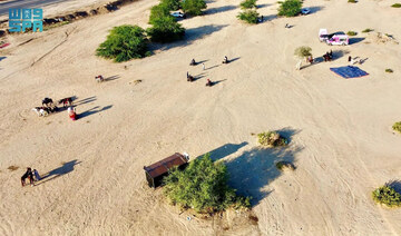 Rainy days bring out the natural beauty of Wadi Al-Mugmass 