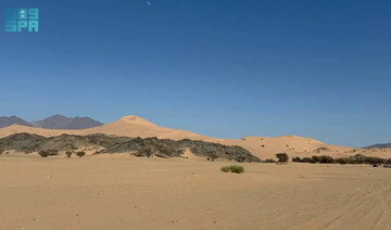 Madinah’s Al-Jabiya sand dunes a magnet for nature lovers