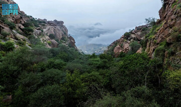 Low clouds create winter wonderland around Shada mountains