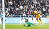 Welbeck sinks Newcastle as Brighton reach FA Cup quarters
